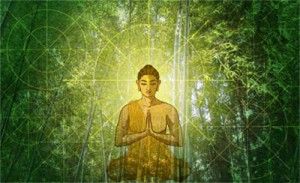 Video Thế Tôn Ca